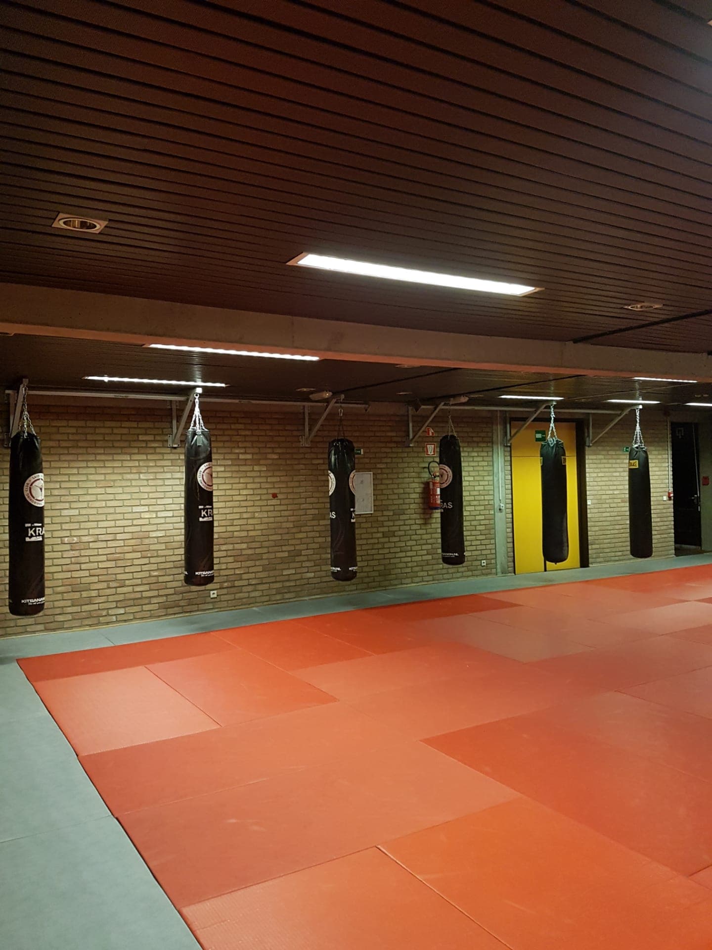 Thaibokszaal met bokszakken en rode matten